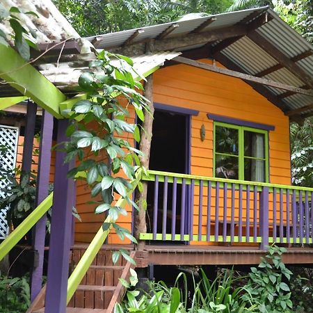 Rainforest Hideaway Cape Tribulation Exterior foto
