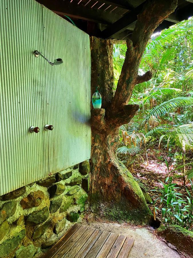 Rainforest Hideaway Cape Tribulation Exterior foto