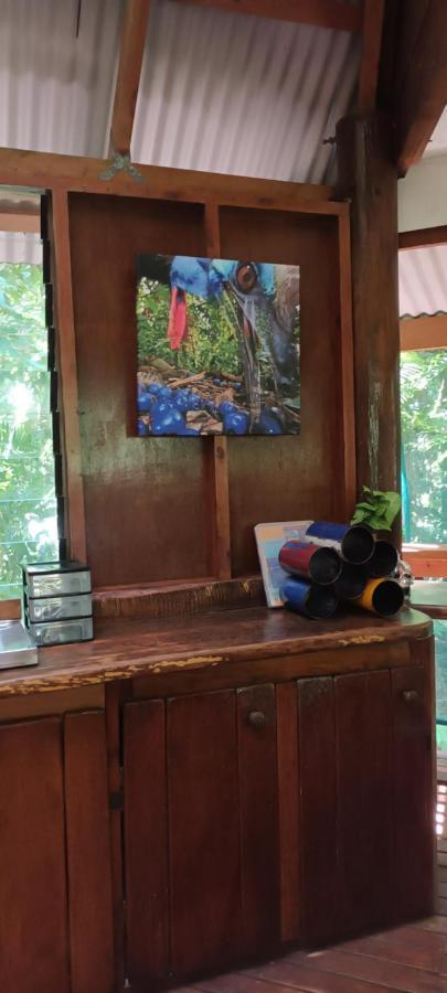 Rainforest Hideaway Cape Tribulation Exterior foto
