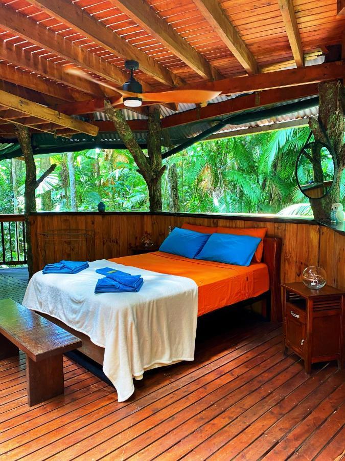 Rainforest Hideaway Cape Tribulation Exterior foto