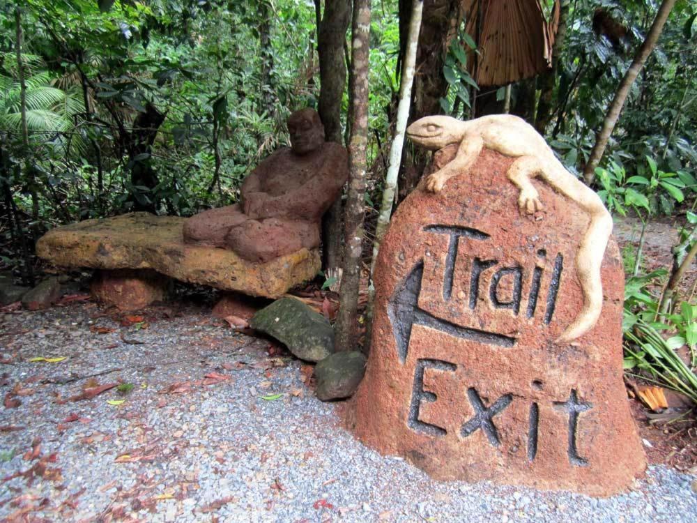 Rainforest Hideaway Cape Tribulation Exterior foto