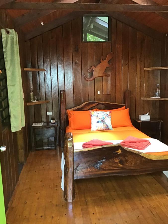Rainforest Hideaway Cape Tribulation Exterior foto